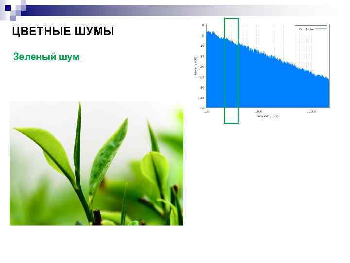ЦВЕТНЫЕ ШУМЫ Зеленый шум 
