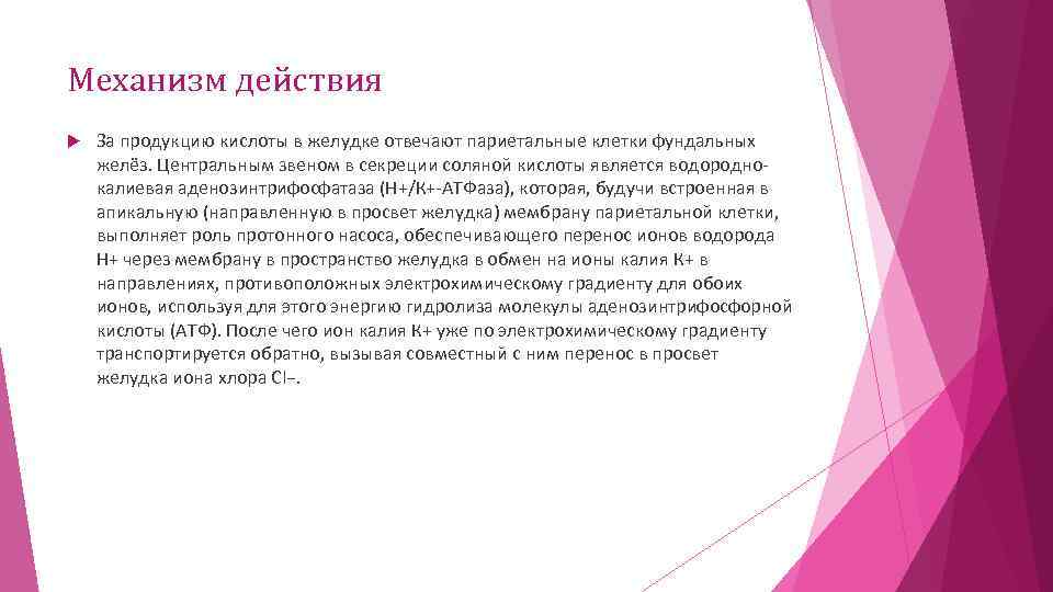 Механизм действия За продукцию кислоты в желудке отвечают париетальные клетки фундальных желёз. Центральным звеном