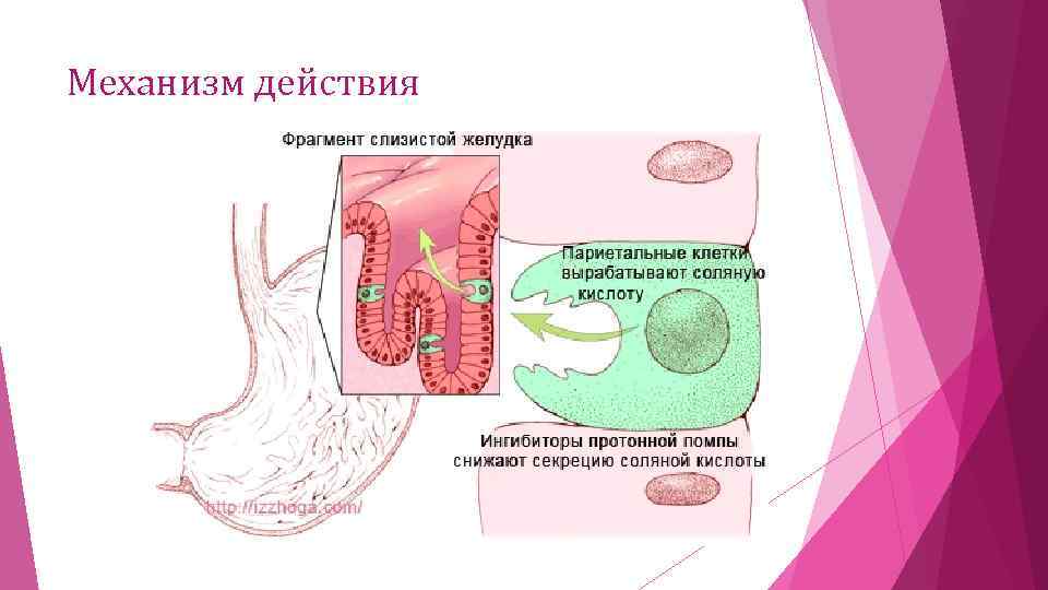 Фрагмент действие