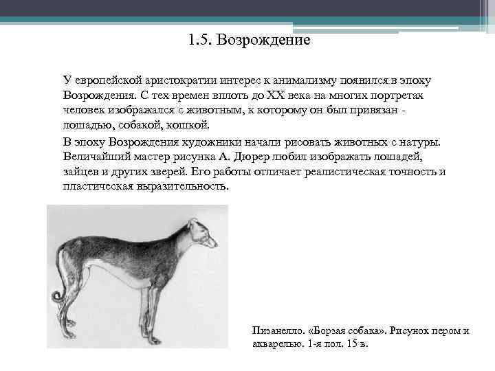 1. 5. Возрождение У европейской аристократии интерес к анимализму появился в эпоху Возрождения. С