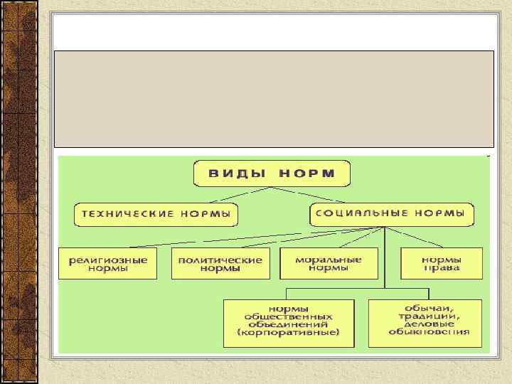 Отличие правовых норм