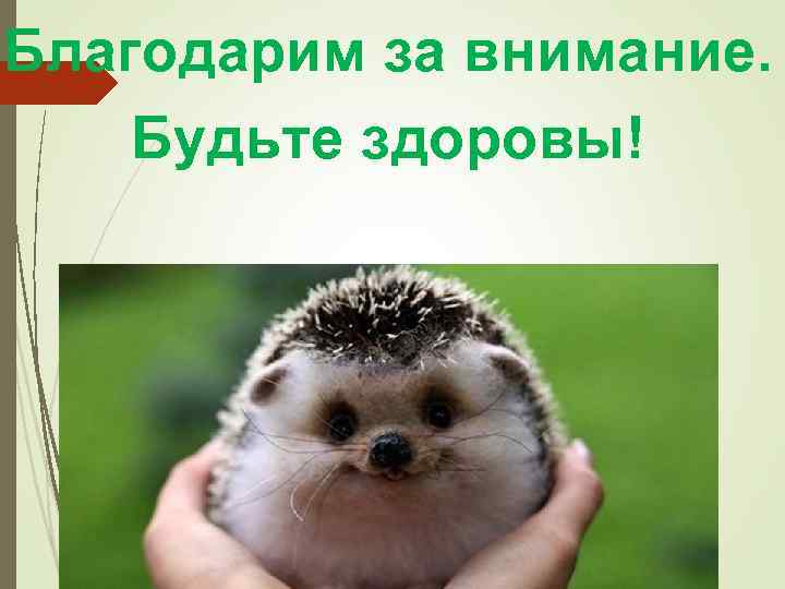 Благодарим за внимание. Будьте здоровы! 