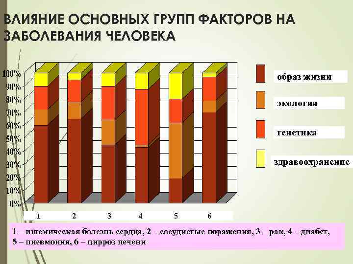 ВЛИЯНИЕ ОСНОВНЫХ ГРУПП ФАКТОРОВ НА ЗАБОЛЕВАНИЯ ЧЕЛОВЕКА образ жизни экология генетика здравоохранение 1 2