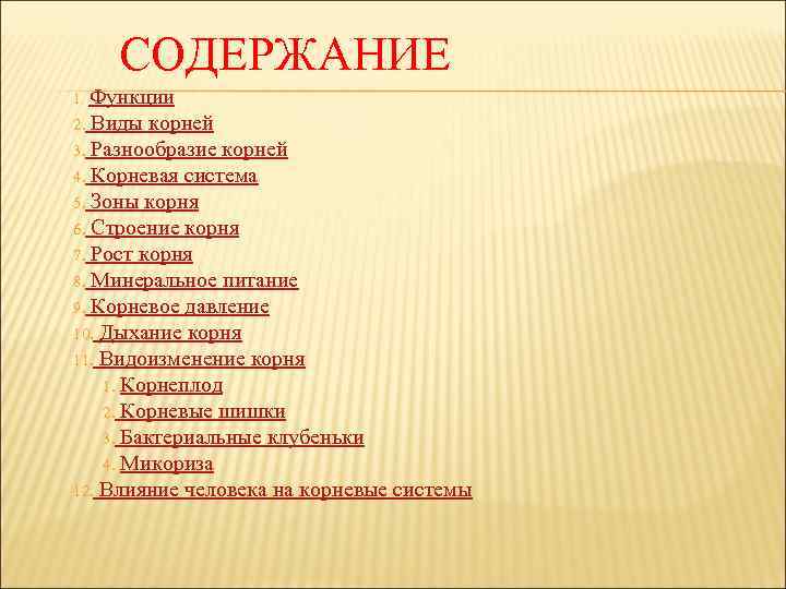 СОДЕРЖАНИЕ Функции 2. Виды корней 3. Разнообразие корней 4. Корневая система 5. Зоны корня