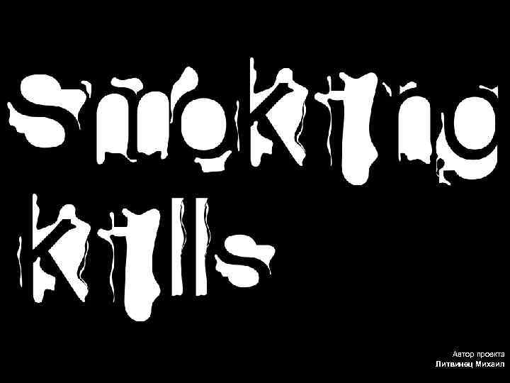 Автор проекта Литвинец Михаил 