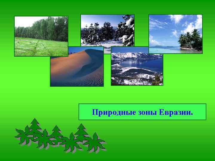 Природные зоны Евразии. 