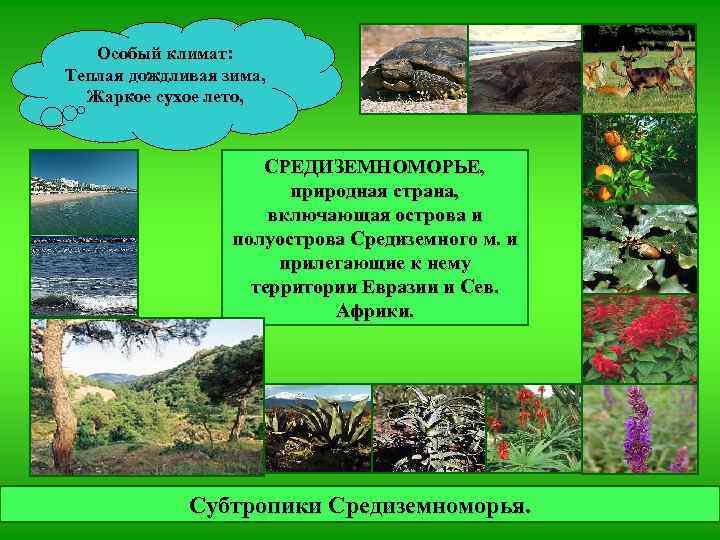 Особый климат: Теплая дождливая зима, Жаркое сухое лето, СРЕДИЗЕМНОМОРЬЕ, природная страна, включающая острова и