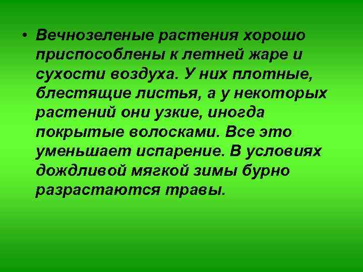  • Вечнозеленые растения хорошо приспособлены к летней жаре и сухости воздуха. У них