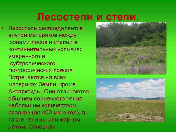 Лесостепи и степи. • Лесостепь распределяется внутри материков между зонами лесов и степей в