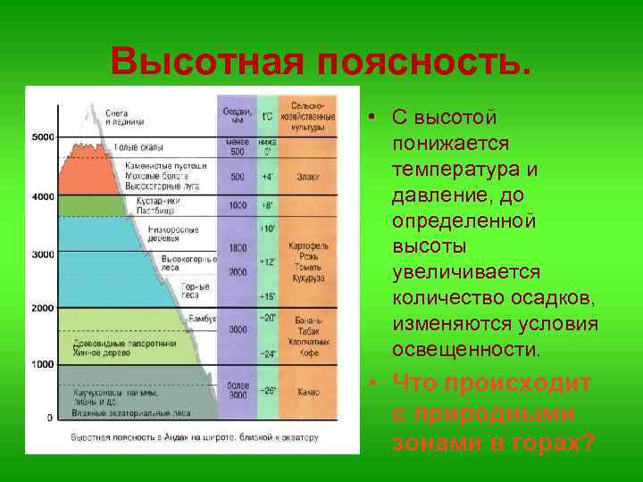 Высотная поясность. • С высотой понижается температура и давление, до определенной высоты увеличивается количество