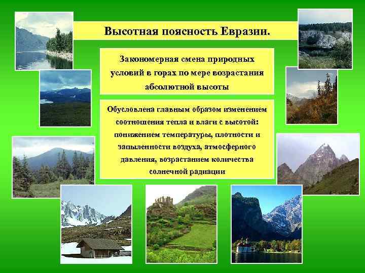 Высотная поясность Евразии. Закономерная смена природных условий в горах по мере возрастания абсолютной высоты