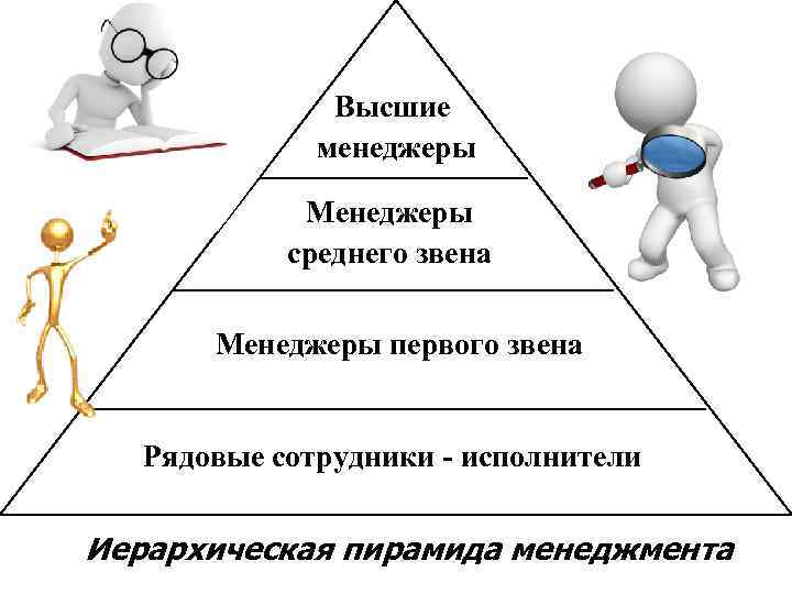 Высшие менеджеры Менеджеры среднего звена Менеджеры первого звена Рядовые сотрудники - исполнители Иерархическая пирамида