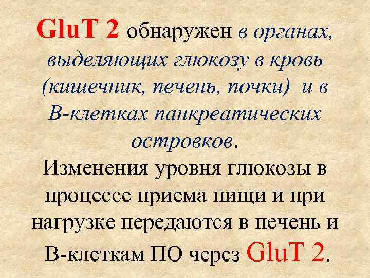 Glu. T 2 обнаружен в органах, выделяющих глюкозу в кровь (кишечник, печень, почки) и