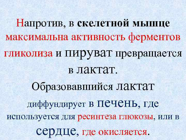 Напротив, в скелетной мышце максимальна активность ферментов гликолиза и пируват превращается в лактат. Образовавшийся