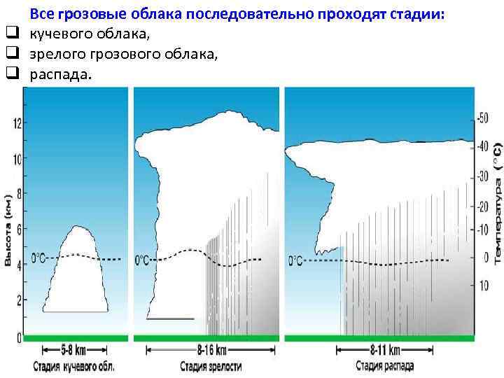 Все грозовые облака последовательно проходят стадии: q кучевого облака, q зрелого грозового облака, q