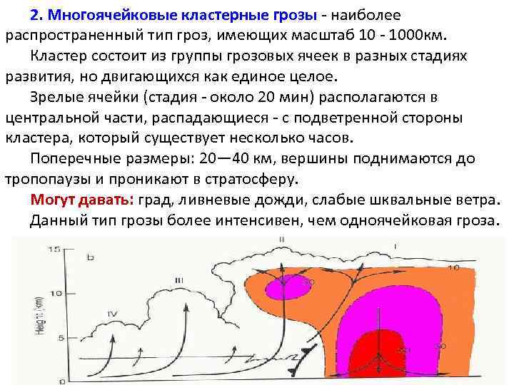 2. Многоячейковые кластерные грозы - наиболее распространенный тип гроз, имеющих масштаб 10 - 1000