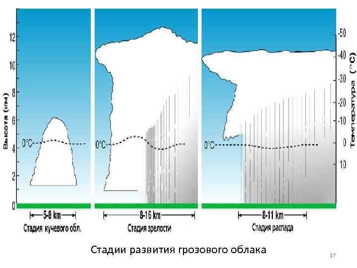 Стадии развития грозового облака 37 