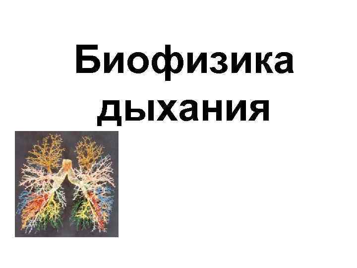 Биофизика дыхания 