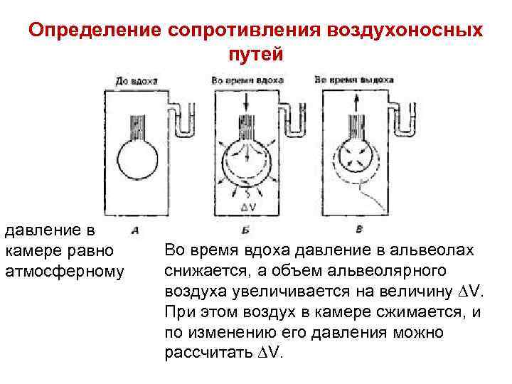 Рассмотрите рисунок на котором представлена схема клеточного дыхания название какого процесса