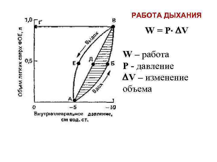 РАБОТА ДЫХАНИЯ W = Р V W – работа P - давление V –