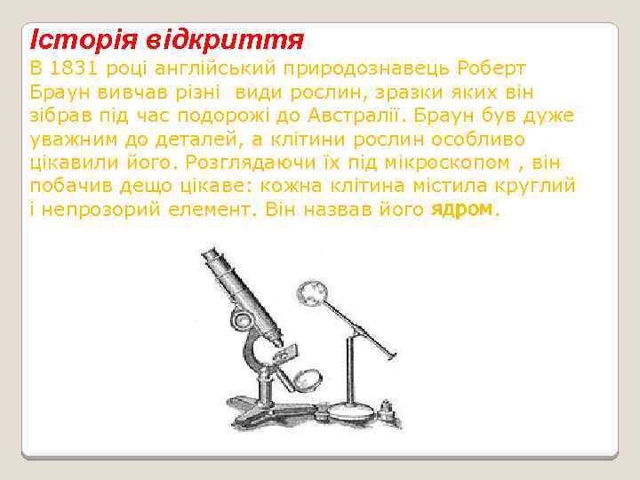 Історія відкриття В 1831 році англійський природознавець Роберт Браун вивчав різні види рослин, зразки