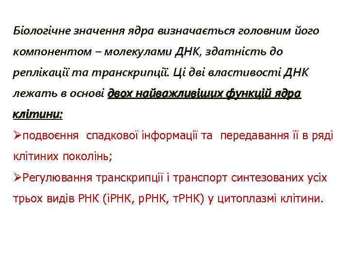 Біологічне значення ядра визначається головним його компонентом – молекулами ДНК, здатність до реплікації та
