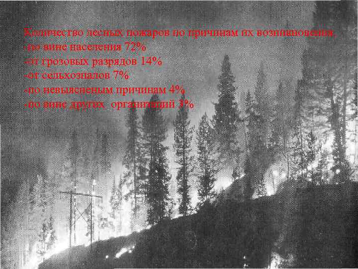 Количество лесных пожаров по причинам их возникновения. -по вине населения 72% -от грозовых разрядов