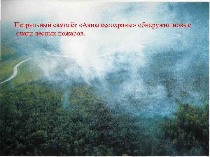 Патрульный самолёт «Авиалесоохраны» обнаружил новые очаги лесных пожаров. 