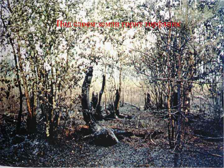 Под слоем земли горит торфяник 