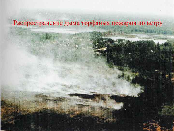 Распространение дыма торфяных пожаров по ветру 