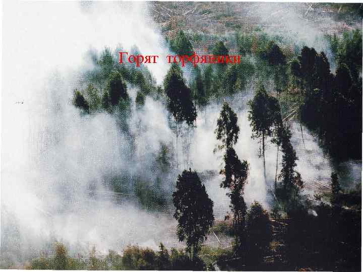 Горят торфяники 