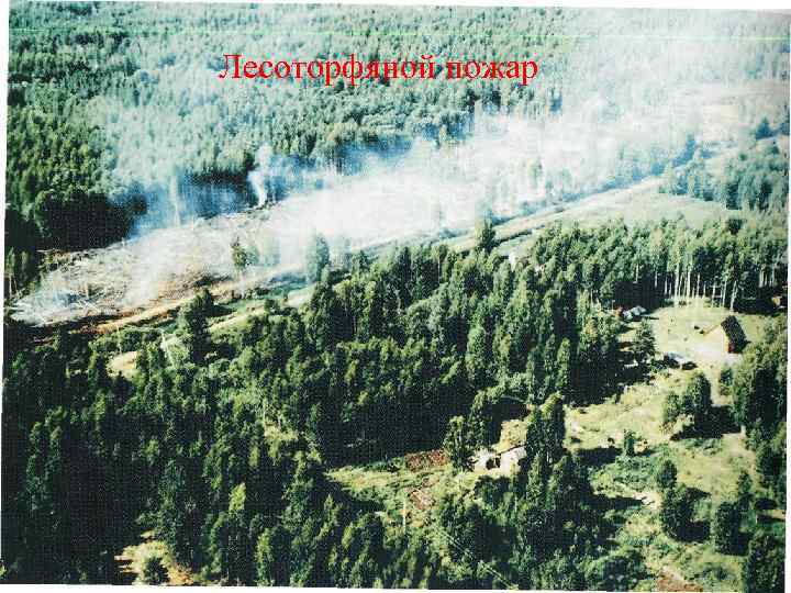 Лесоторфяной пожар 