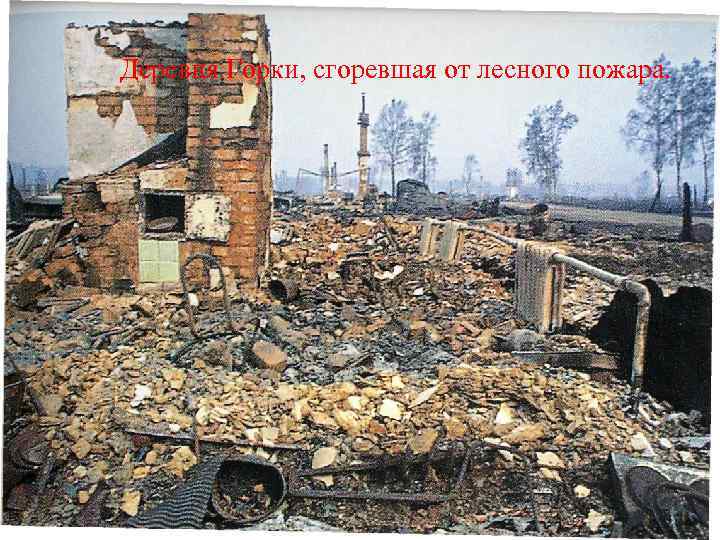 Деревня Горки, сгоревшая от лесного пожара. 
