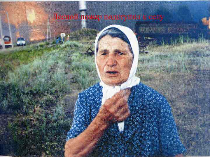 Лесной пожар подступил к селу 