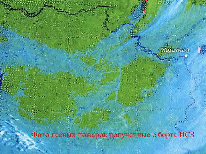 Фото лесных пожаров полученные с борта ИСЗ 