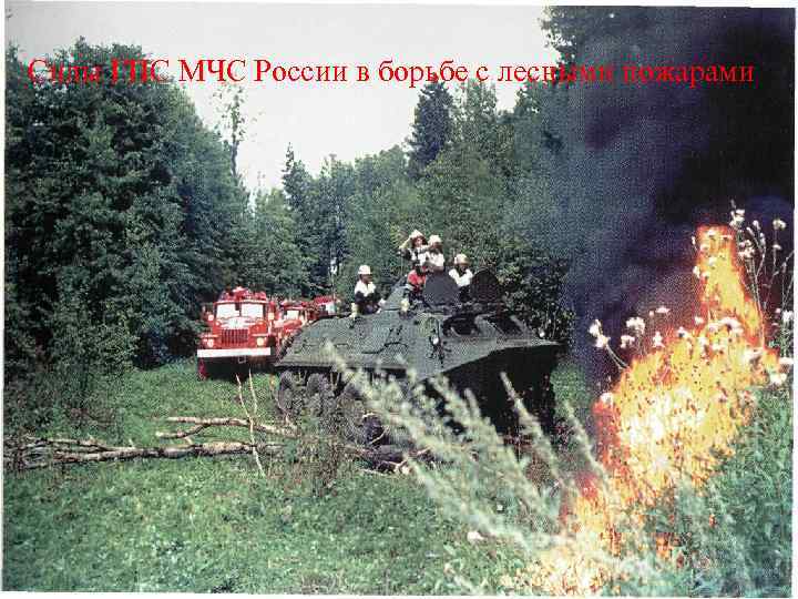 Силы ГПС МЧС России в борьбе с лесными пожарами 
