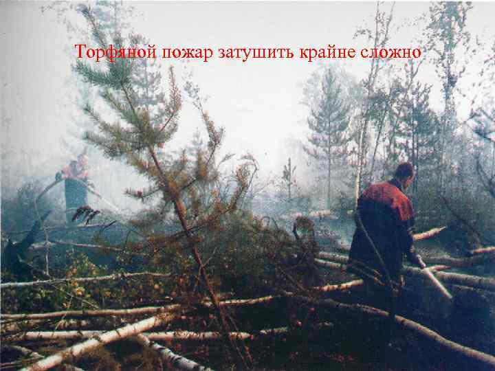 Торфяной пожар затушить крайне сложно 
