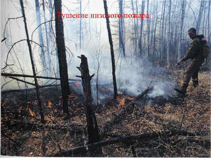 Тушение низового пожара 