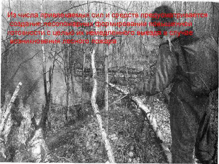 Из числа привлекаемых сил и средств предусматривается создание лесопожарных формирований повышенной готовности с целью