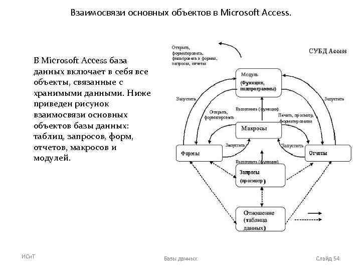 Взаимосвязи основных объектов в Microsoft Access. В Microsoft Access база данных включает в себя