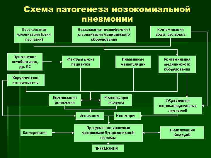 Схема патогенеза нозокомиальной пневмонии Перекрестная колонизация (руки, перчатки) Применение антибиотиков, др. ЛС Неадекватная дезинфекция