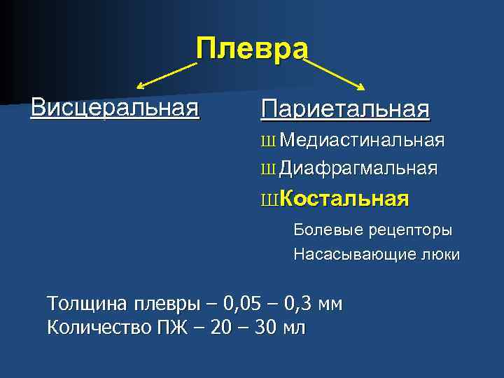 Висцеральная плевра. Париетальная и висцеральная плевра. Болевые рецепторы в плевре. Болевые рецептлры поеврв. Висцеральная плевра легкого.