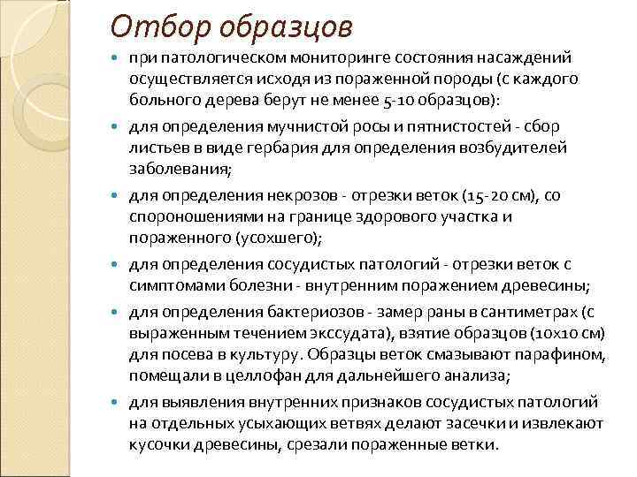 Отбор образцов при патологическом мониторинге состояния насаждений осуществляется исходя из пораженной породы (с каждого