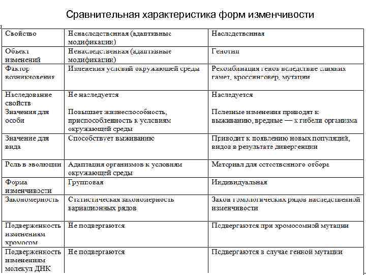 Сравнительная характеристика форм изменчивости 