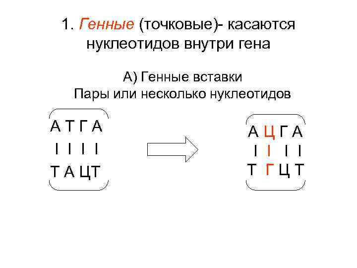 1. Генные (точковые)- касаются нуклеотидов внутри гена А) Генные вставки Пары или несколько нуклеотидов