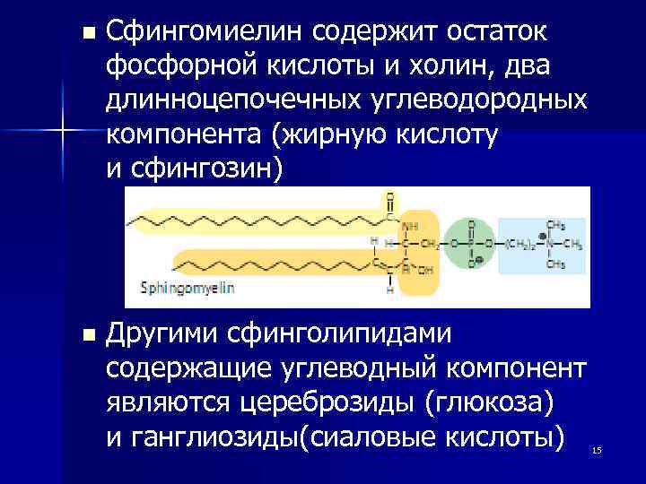 Содержат остатки фосфорной кислоты. Сфингомиелин. Сфингомиелин биохимия.