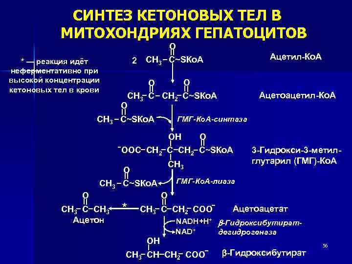 Синтез липидов схема