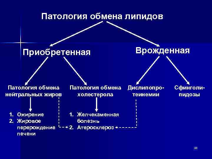 Обмен липидов биохимия схема