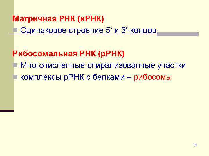 Матричная РНК (и. РНК) n Одинаковое строение 5‘ и 3‘-концов Рибосомальная РНК (р. РНК)