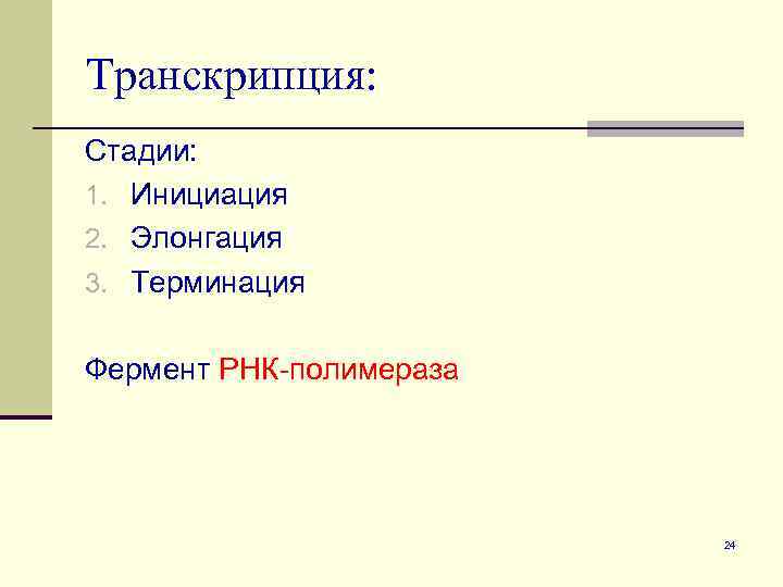 Транскрипция: Стадии: 1. Инициация 2. Элонгация 3. Терминация Фермент РНК-полимераза 24 